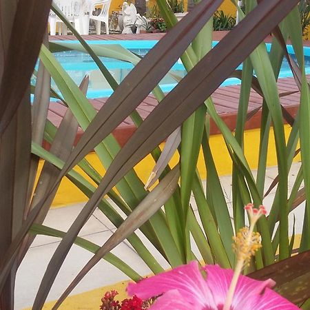 Casa Pousada Rosa Dos Ventos Флорианополис Экстерьер фото